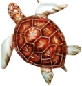Animals - Turtles